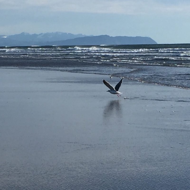 From Sea to Source