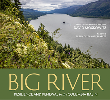Cover of Big River book